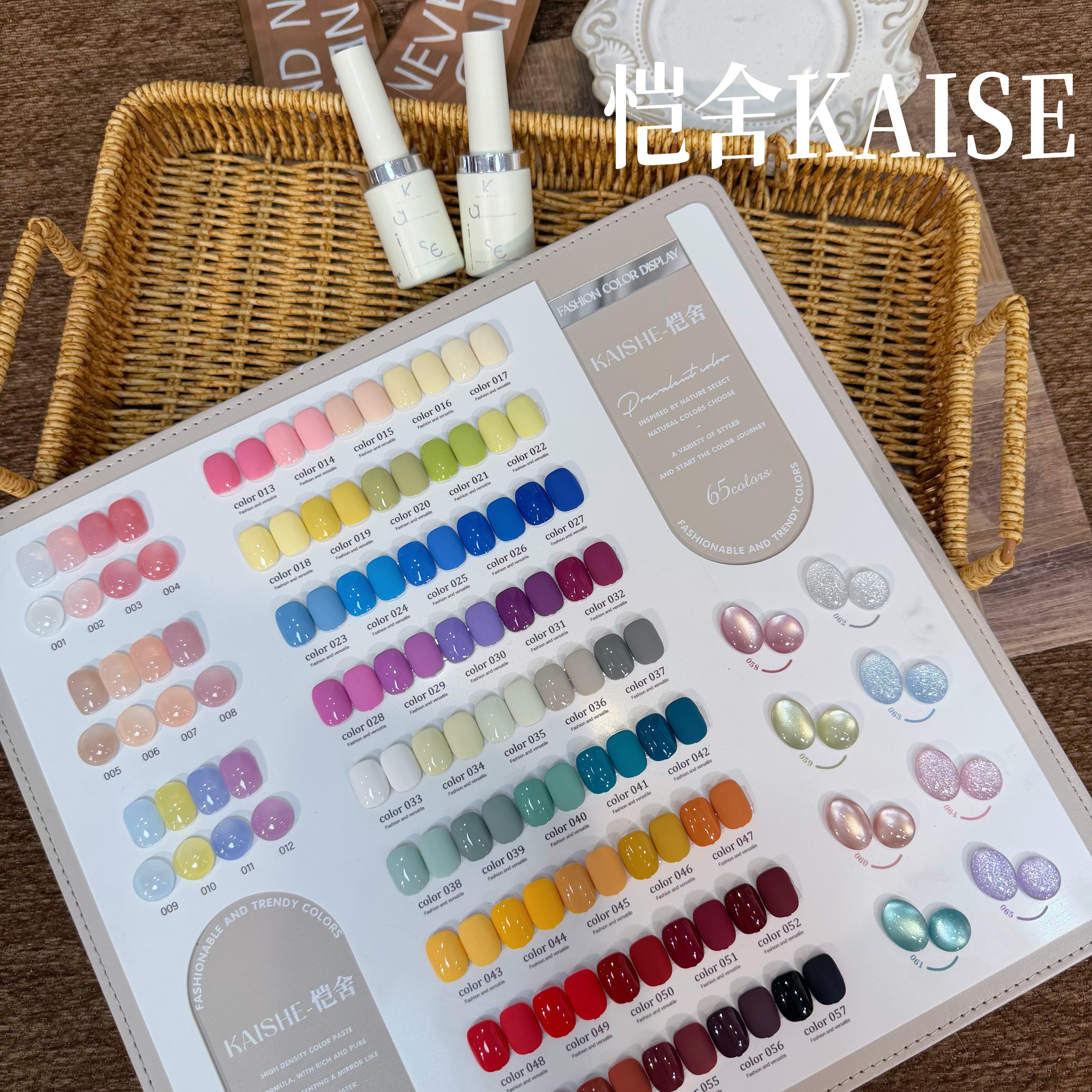 카이세 65컬러 멀티컬러 네일 젤 세트 2026 신제품 - Nail Art Gel 리뷰 및 가격